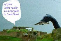 Nessie the Loch Ness Monster!