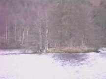 Cherry Island Loch Ness