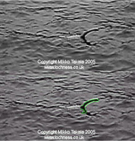 The Proof Nessie Exists - Loch Ness Monster
