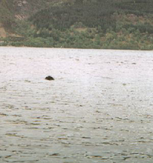 Nessie hump in Loch Ness