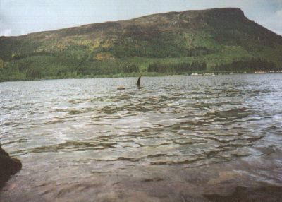 Plesiosaur commonly seen in Loch Ness