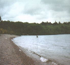 Loch Ness Monster Approaches Land