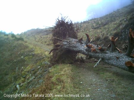 lochnessmonster1.jpg - 38619 Bytes