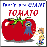 Giant Tomato Award
