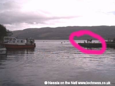 Nessie the Loch Ness Monster seen on land