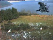 Nessie spotted on this webcam!!!