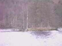 Cherry Island