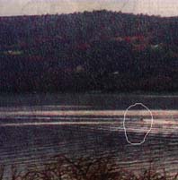 Nessie - winning photo